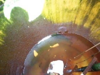 高架水槽清掃 前.jpg