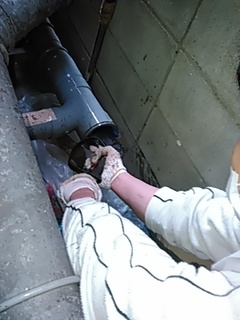 KIMG0400.jpg